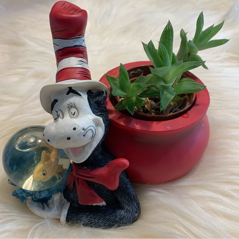 SALE!! Cat in the hat planter with snow globe. 3